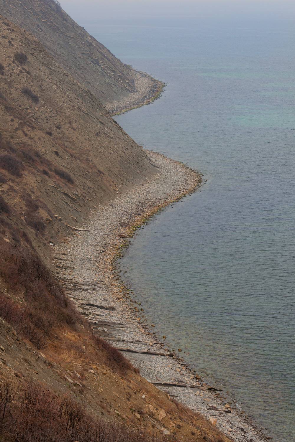 , Мариана Добрева