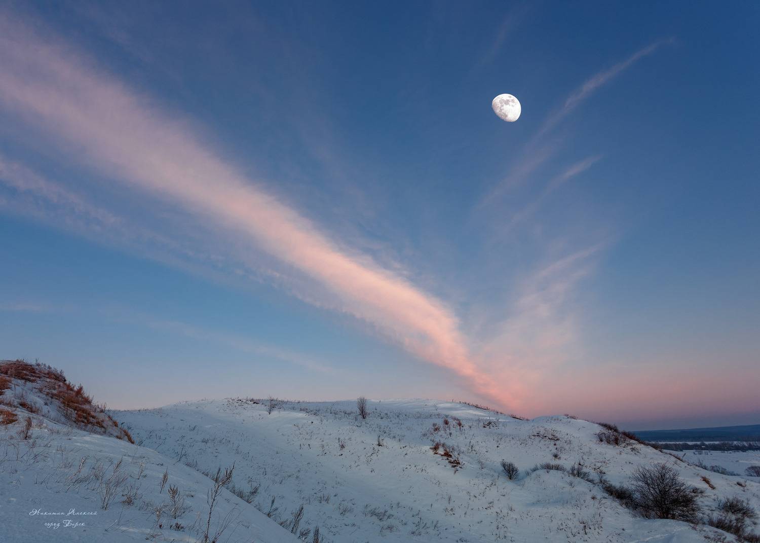 , Никитин Алексей