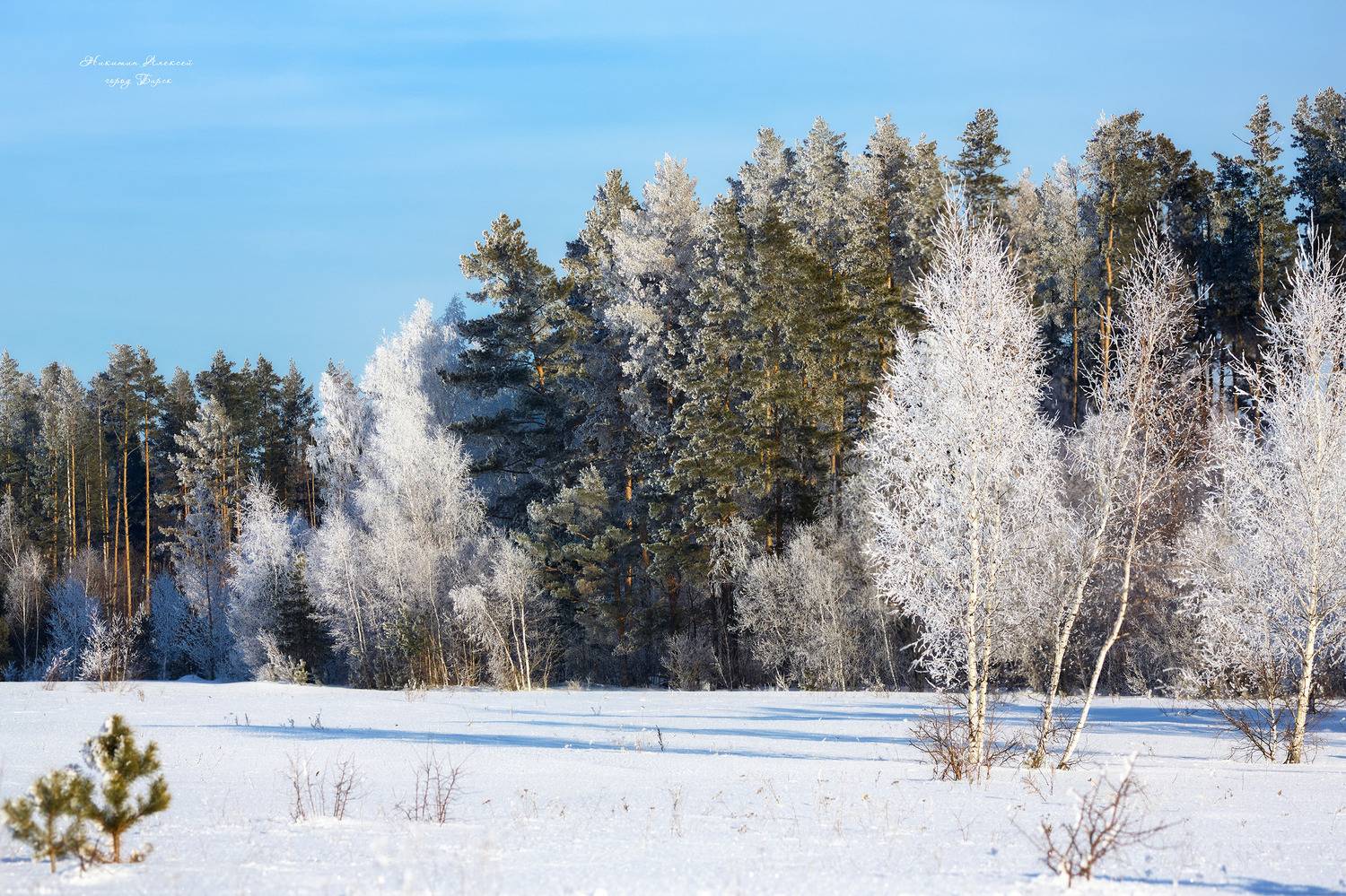 , Никитин Алексей