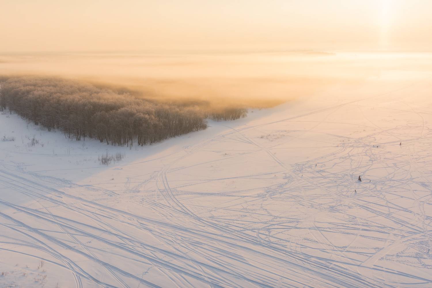 , Алексей Проняхин