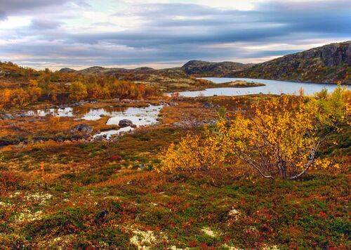 Осенняя палитра