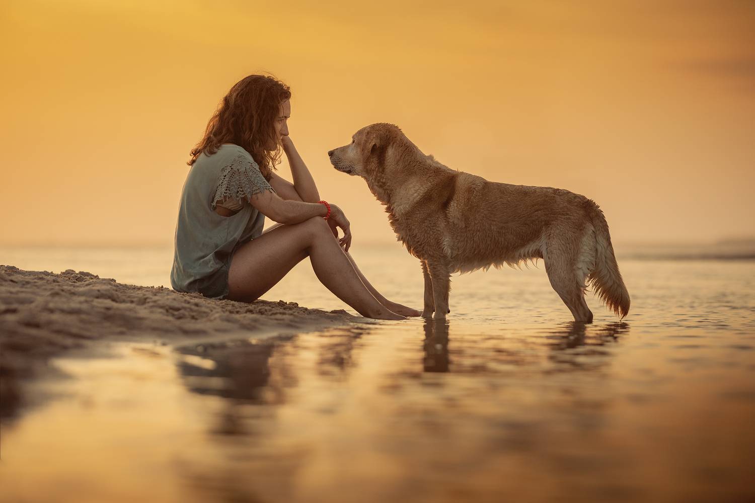 photography,dog,pets,animal,beach,water,sunset,golden,hour,labrador,retriever,woman,girl,wet,warm,colors,nature,explore,outdoor,nature,friendship, Alexandre Marques