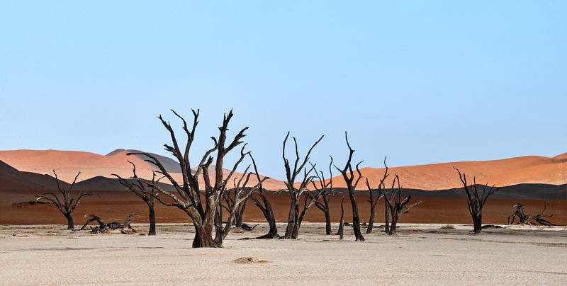пустыня, desert, namibia, намибия Каменные джунгли фото превью
