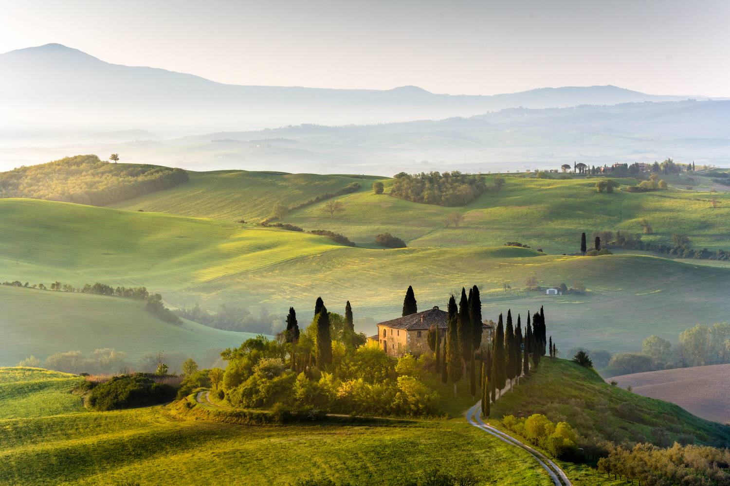 , Сулоев Алексей