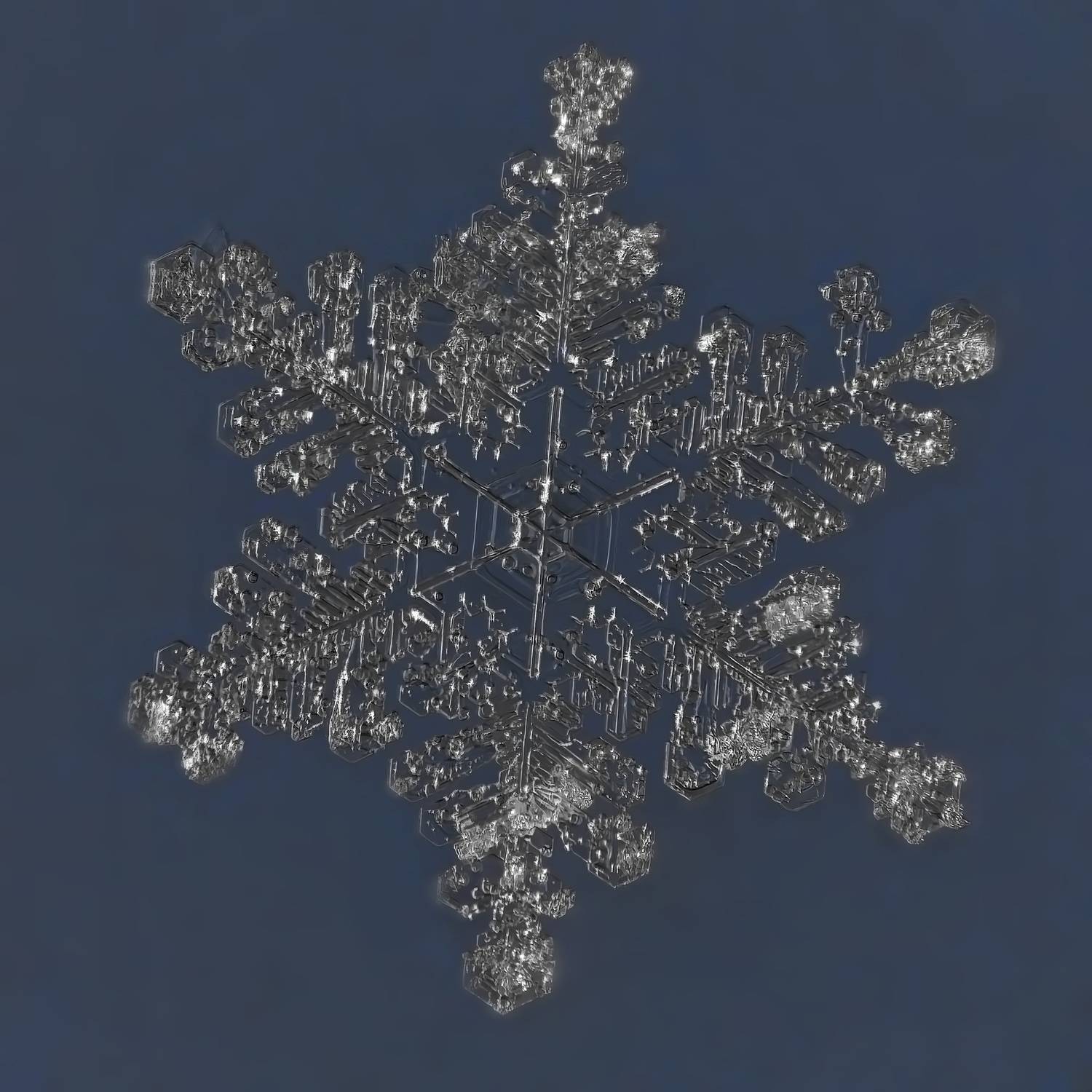 , Кузнецов Дмитрий