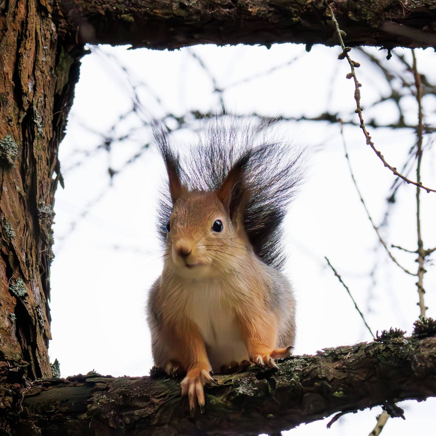 , Морозов Сергей