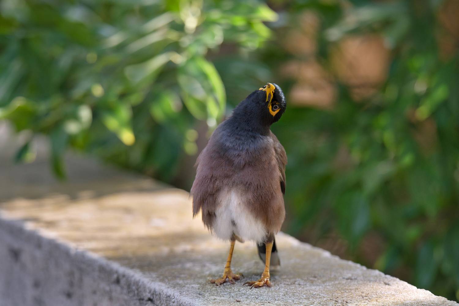 , Людмила Бекман