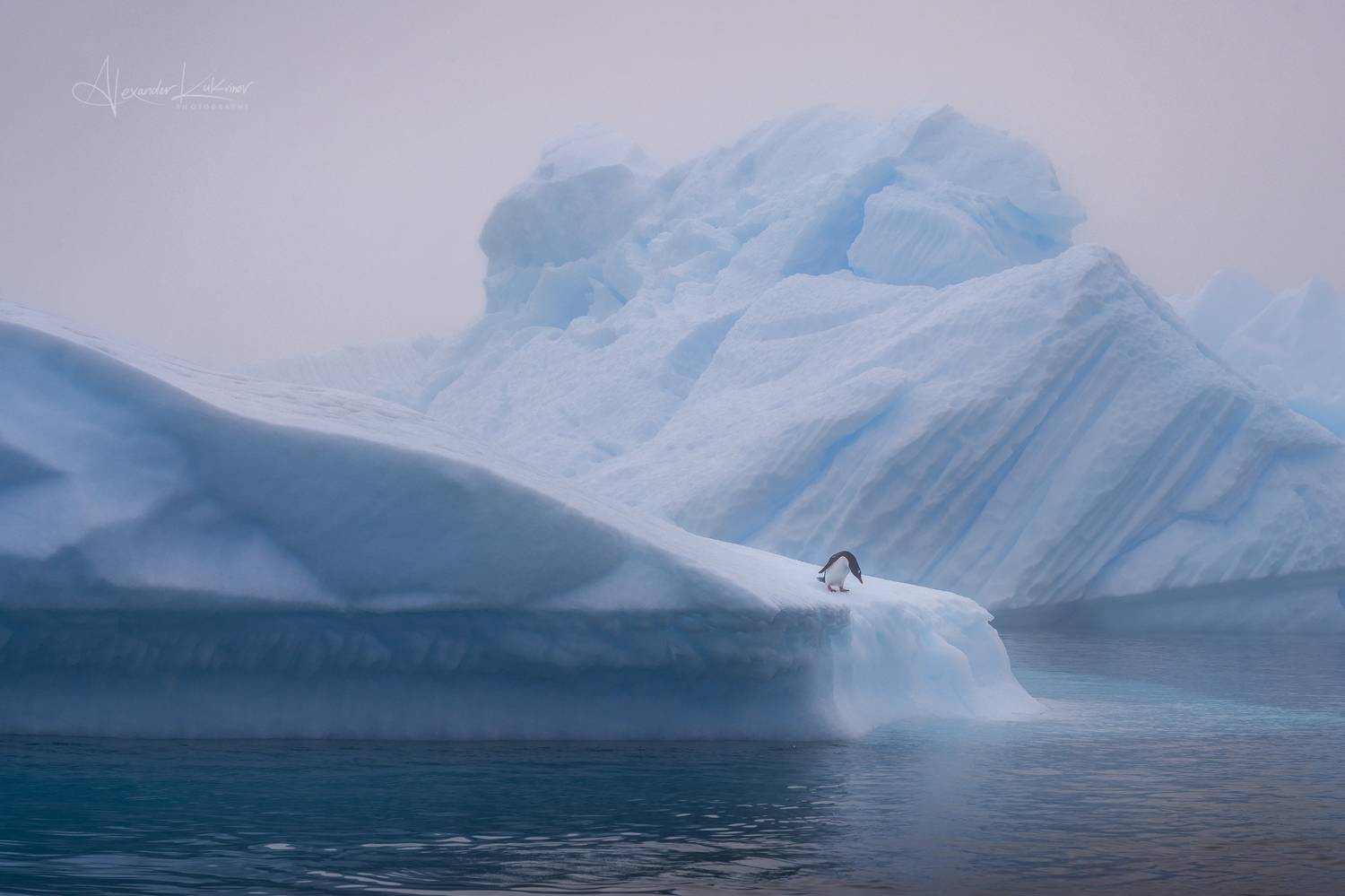 антарктида, Александр Кукринов
