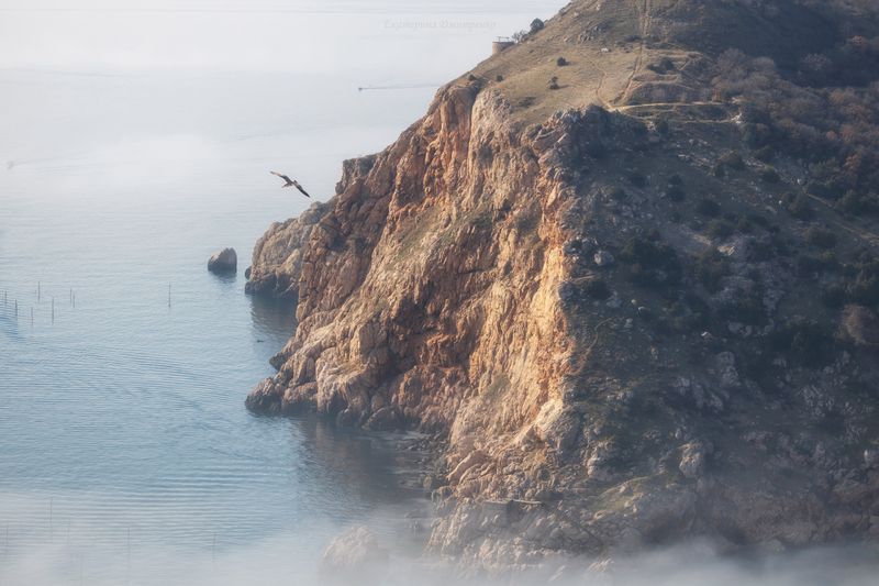 крым, балаклава, севастополь, облака, пейзаж, море, птицы, зима Февраль фото превью