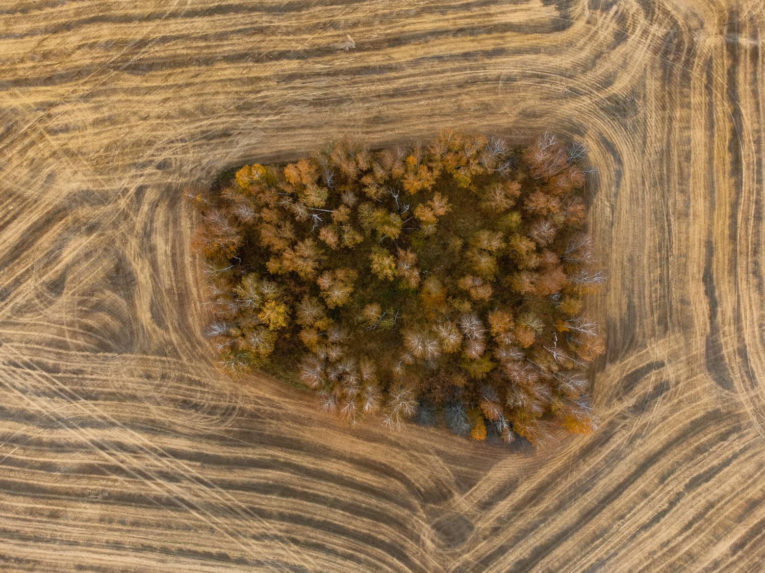 , Карамышева Дарья