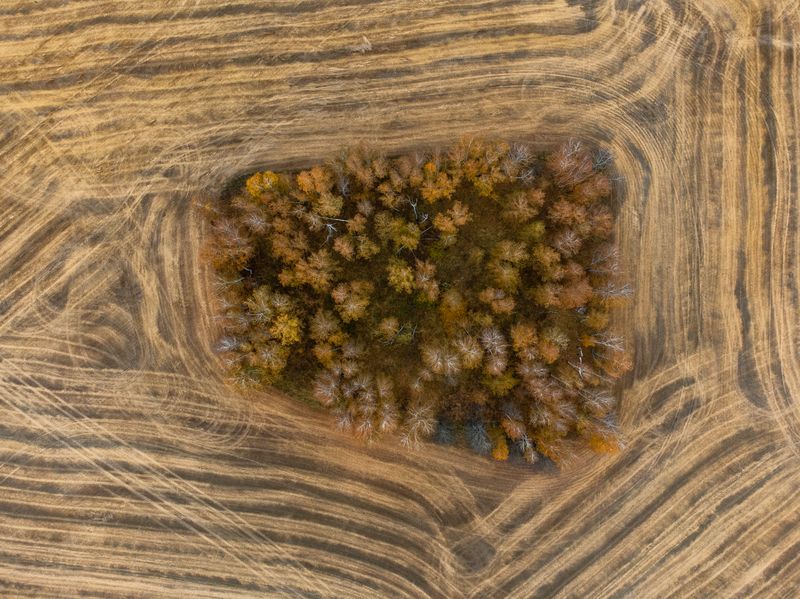 Остров золотой осени фото превью