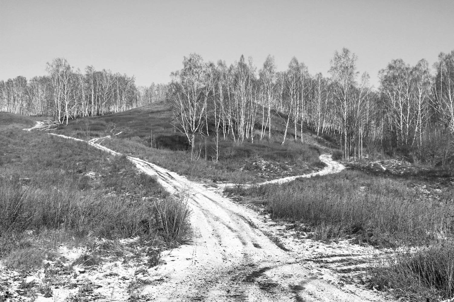 , Гагик Мхитарян