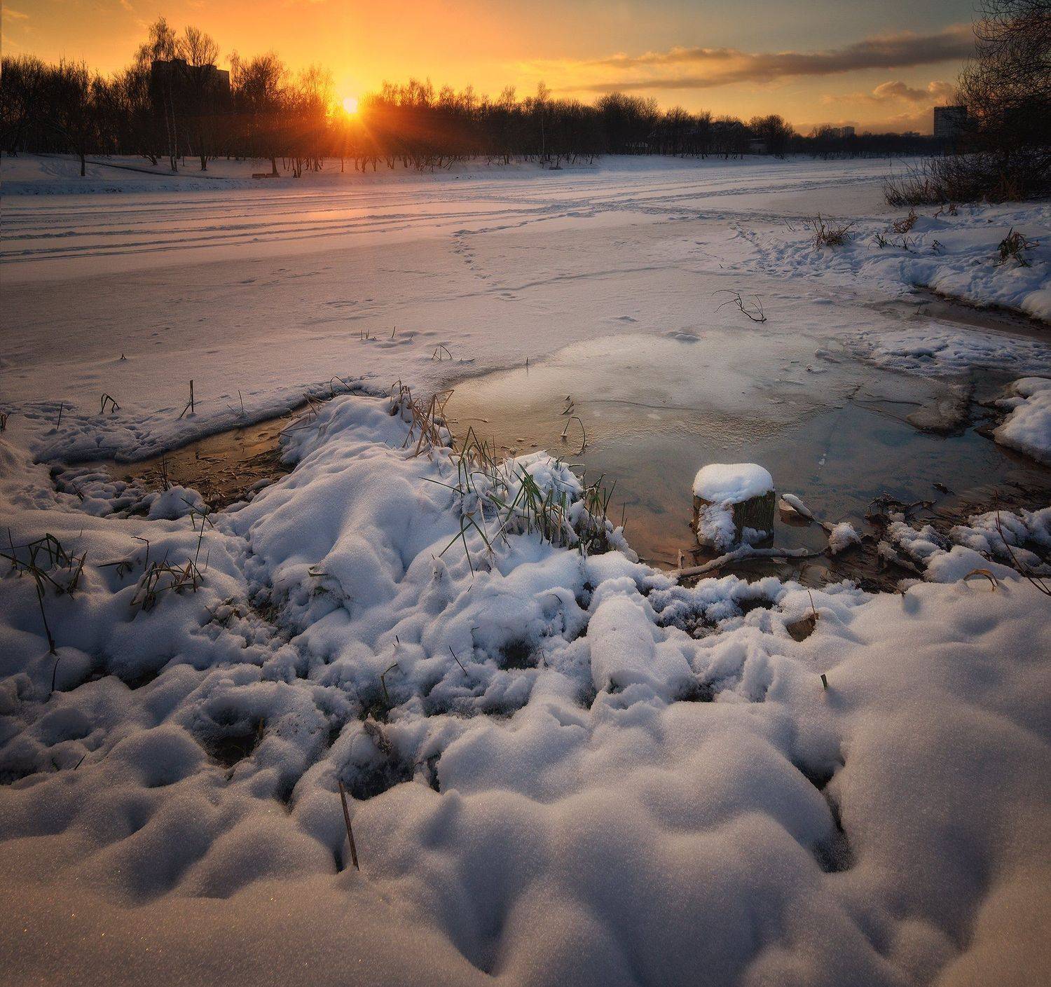 , Алексей Никонов