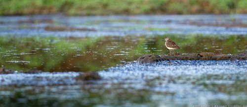 Один, совсем один