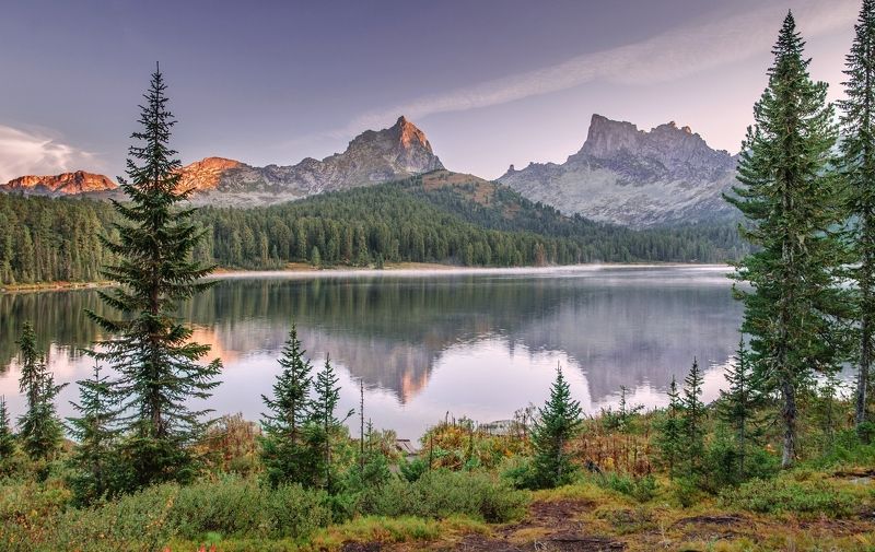 на Светлом в сиреневом фото превью