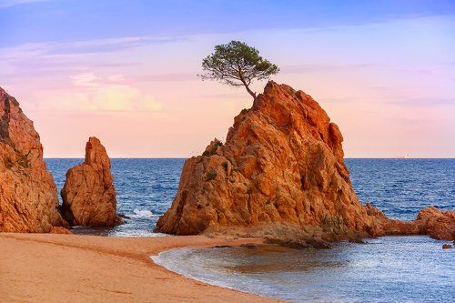 Скала у моря, четыре времени суток