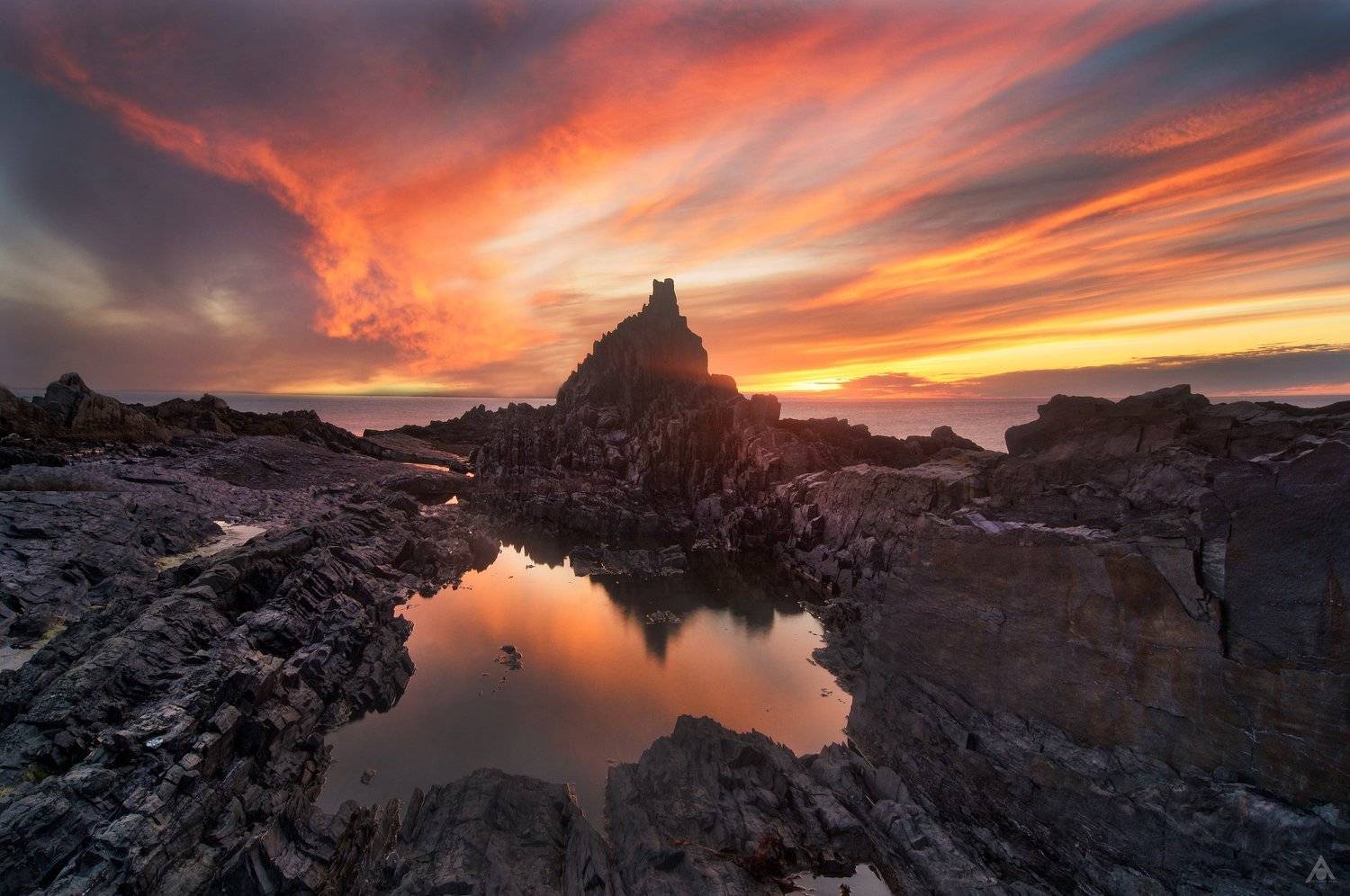 , Ольга Аристова