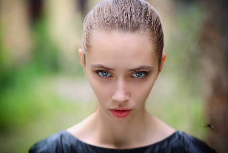 wasp фото превью