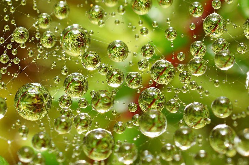3d, вода, дождь, капли, коми, макро, печора,паутина Водный мир-3D фото превью