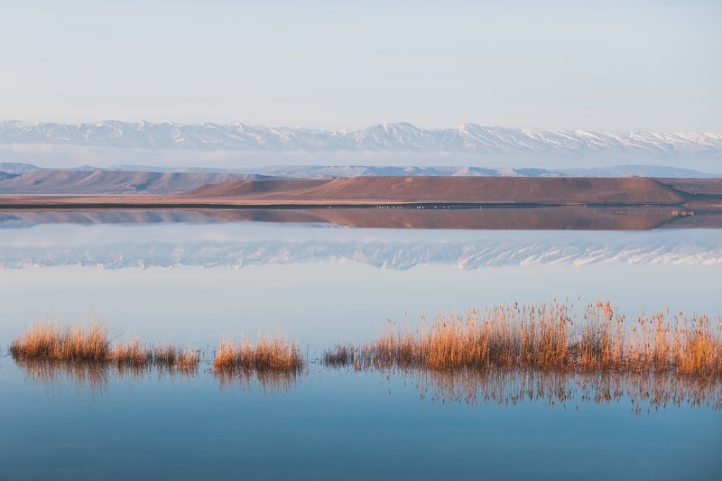 Зимнее утро фото превью