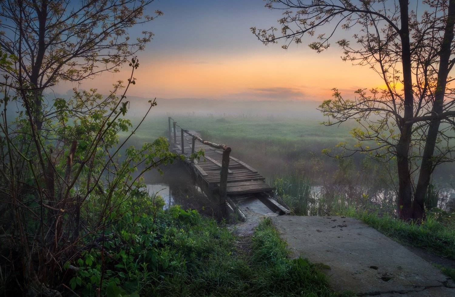 Sony, Мостик, Пейзаж, Река, Туман, Утро, Александр Киценко