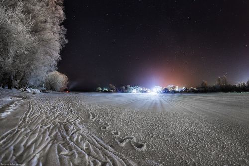 Пеновские ночи