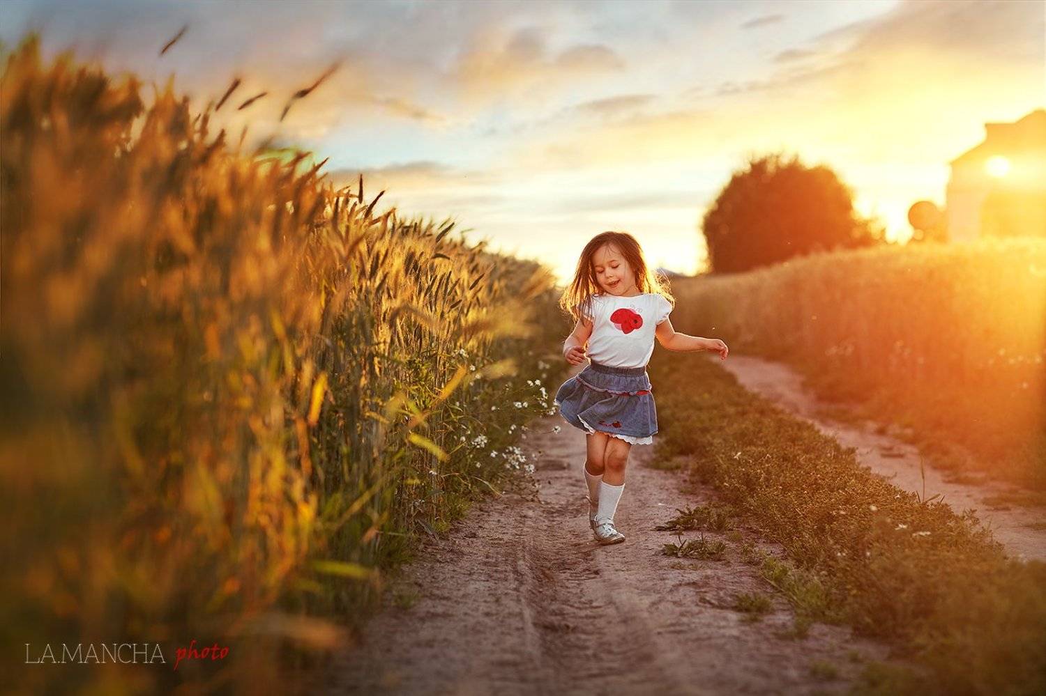 Девочка, Закат, Лето, Поле, Пшеница, Смаль Марина