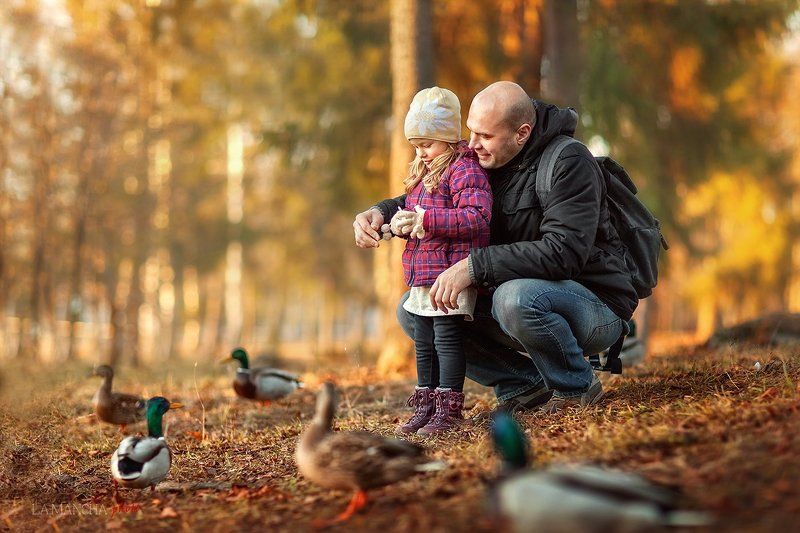 Девочка, Золотая осень, Папа, Папа с девочкой, Парк, Утки 777 фото превью