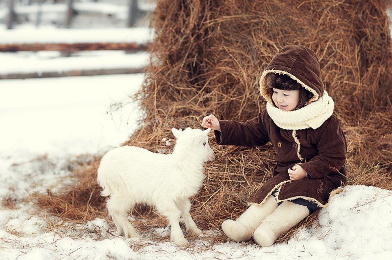 фото превью