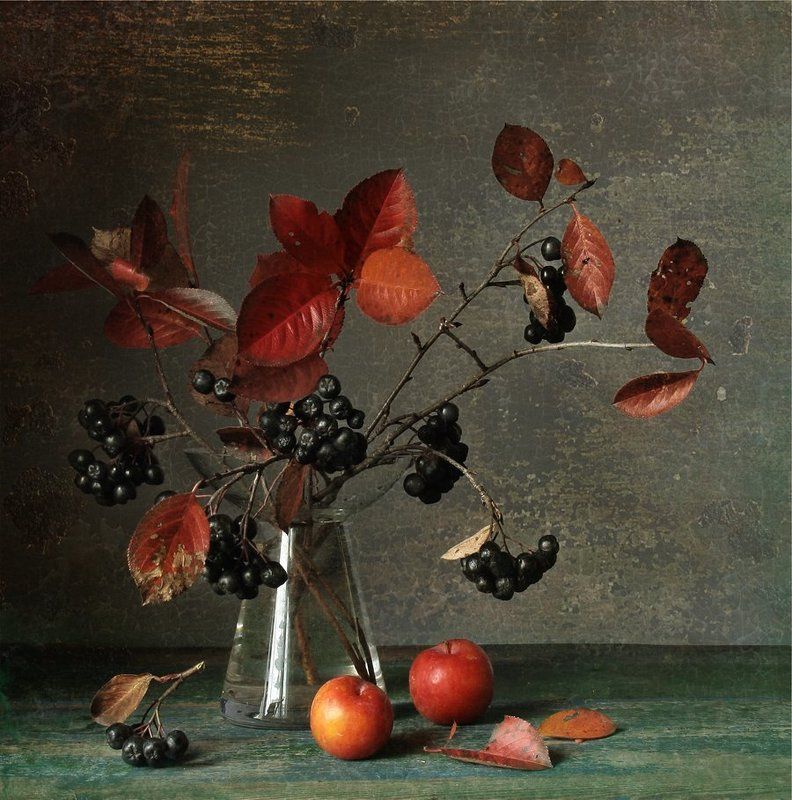 Листья, Натюрморт, Осень, Сливы, Чёрная рябина  фото превью