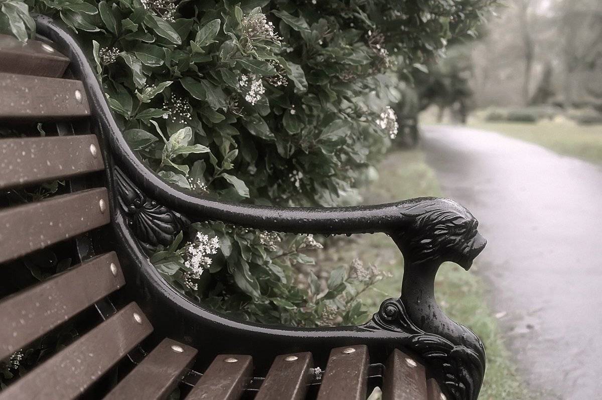 , Елена Лаврова