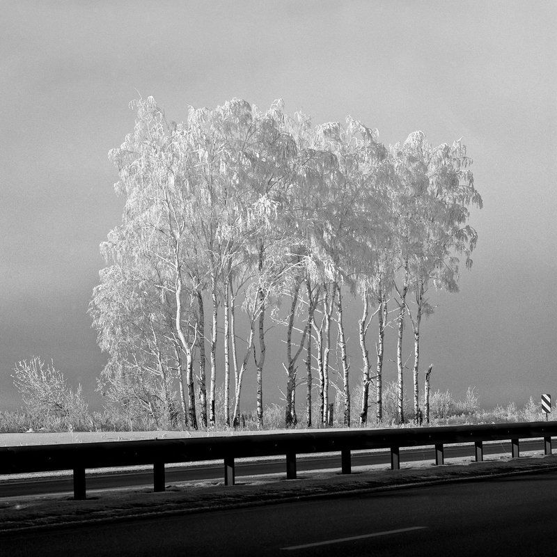 Дорога., Мороз., Снег. \