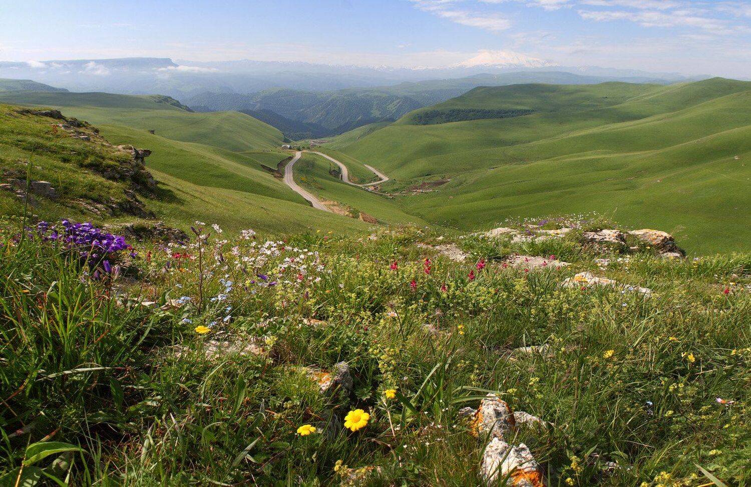 Горы, Дорога, Кавказ, Приэльбрусье, Простор, Цветы, Эльбрус, Виктор Климкин