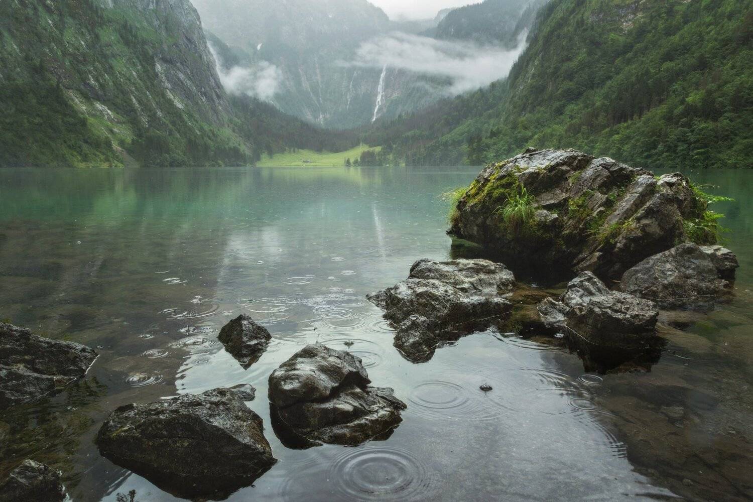 , Александр Удовиченко