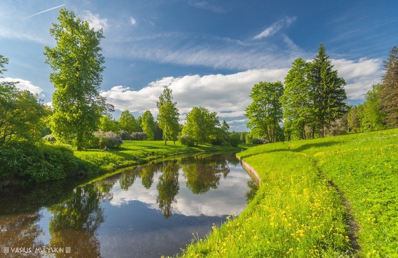 Скоро ... фото превью