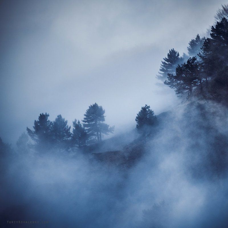 В холодном тумане фото превью