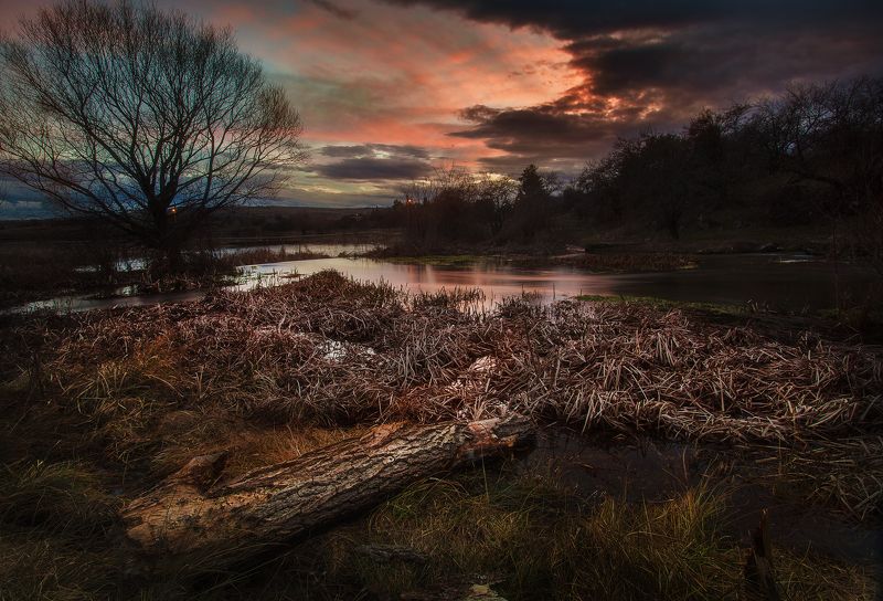 Начало реки фото превью