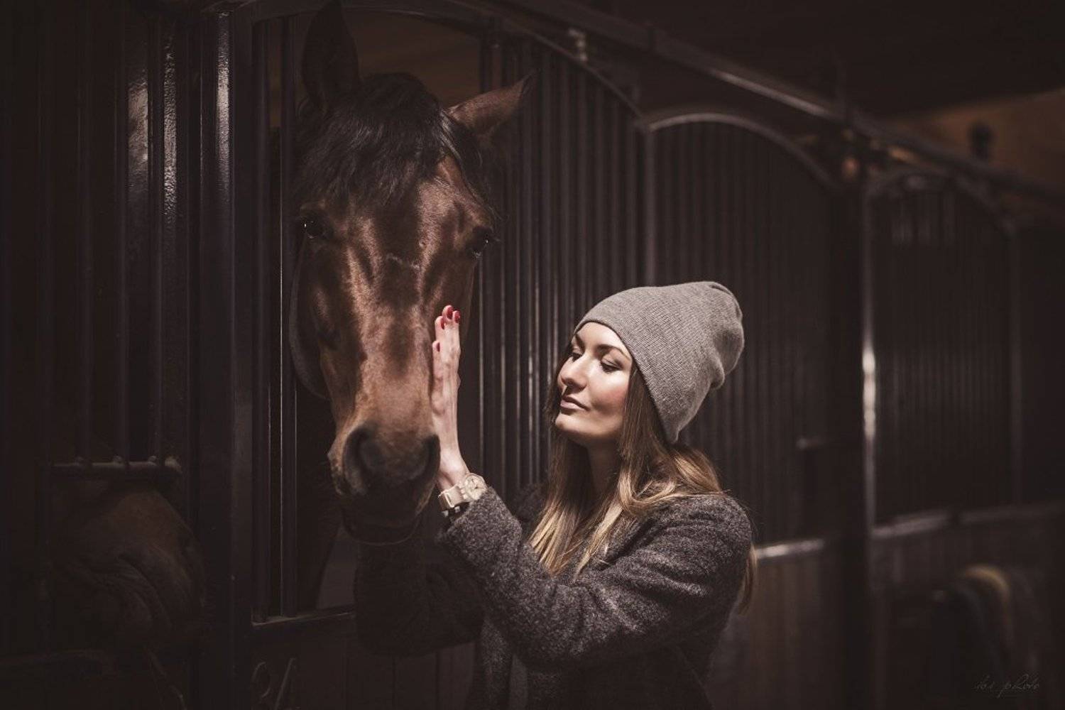 Horse, Portrait, Stable, Woman, Izabela Bilinska