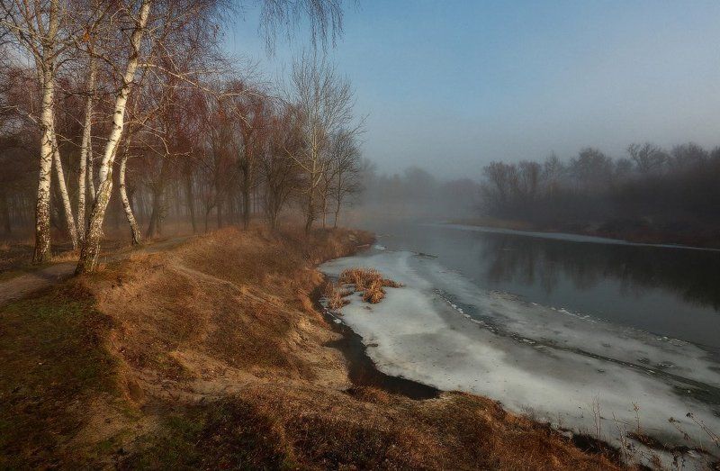 Весна явилась в феврале. фото превью