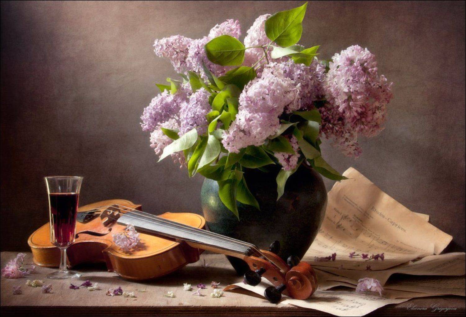 музыка, натюромрт, ноты, сирень, скрипка, Eleonora Grigorjeva