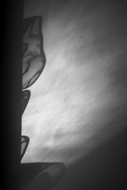 Without content фото превью