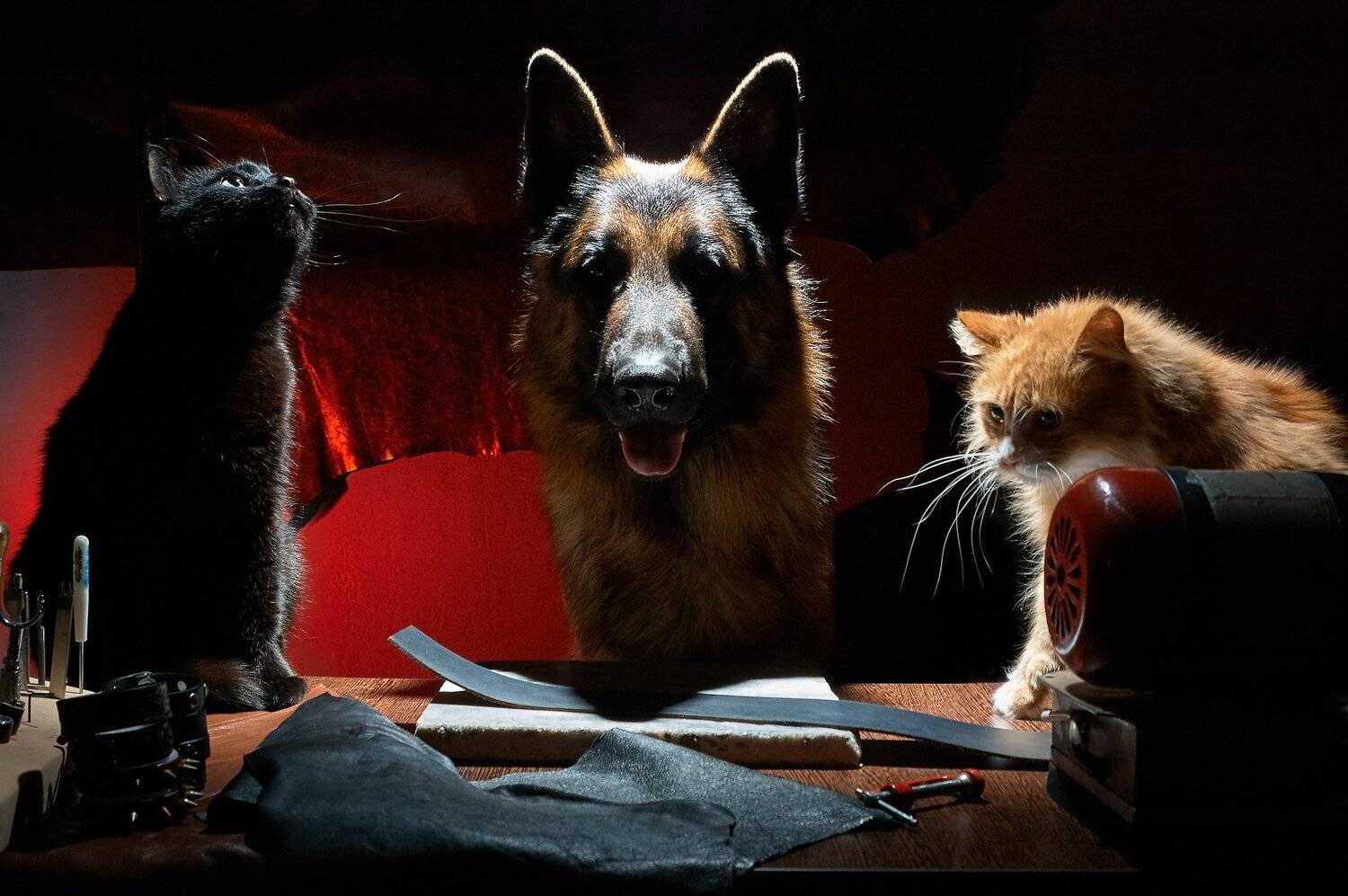 , Медведев Александр