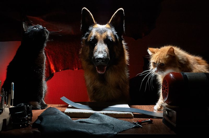 Craftsman and journeymans. фото превью