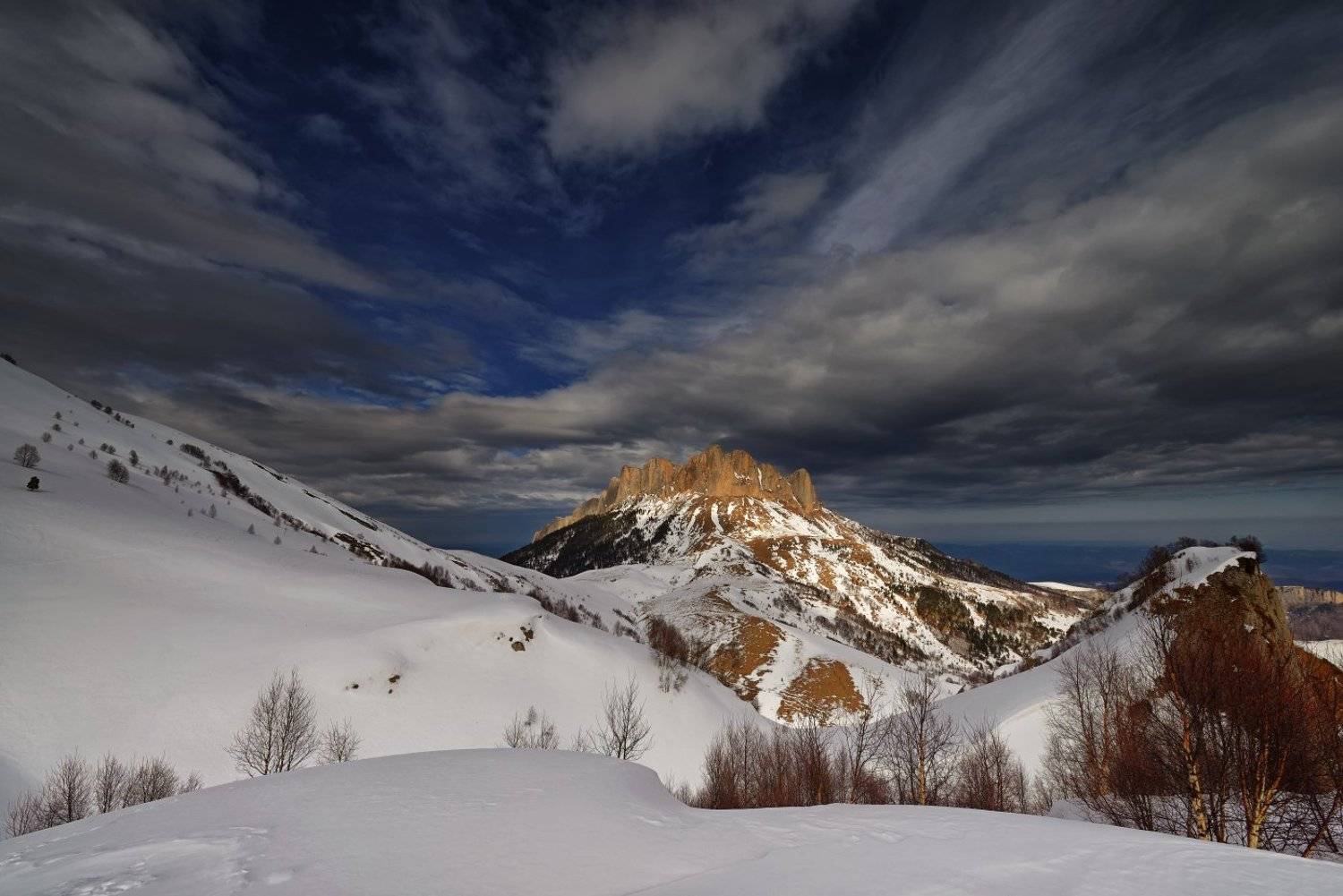 , Максим Евдокимов ( www.wildphotorus.ru )