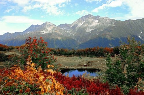 Осенним днём.