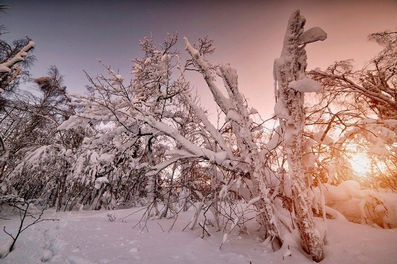 Башкирия, Белорецкий район, Деревья, Мороз, Снег, Солнце, Утро *** фото превью