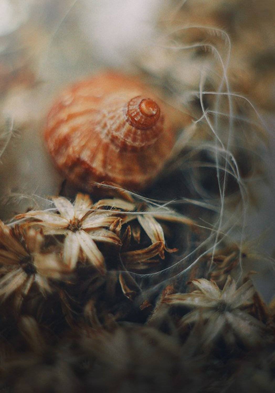 , Фролова Евгения