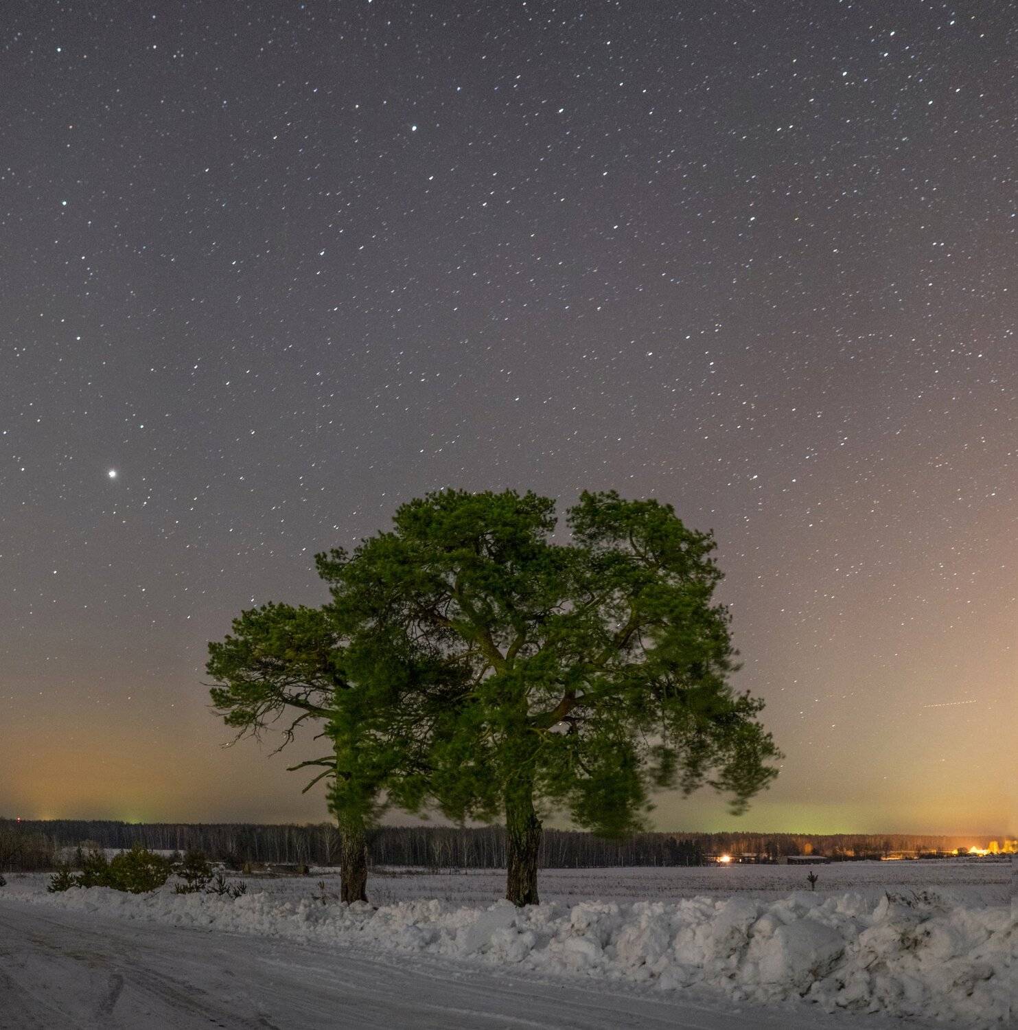 fuji, fujifilm,fujifilmru,, Воробьёв Евгений
