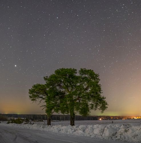 Ветреная ночь... 