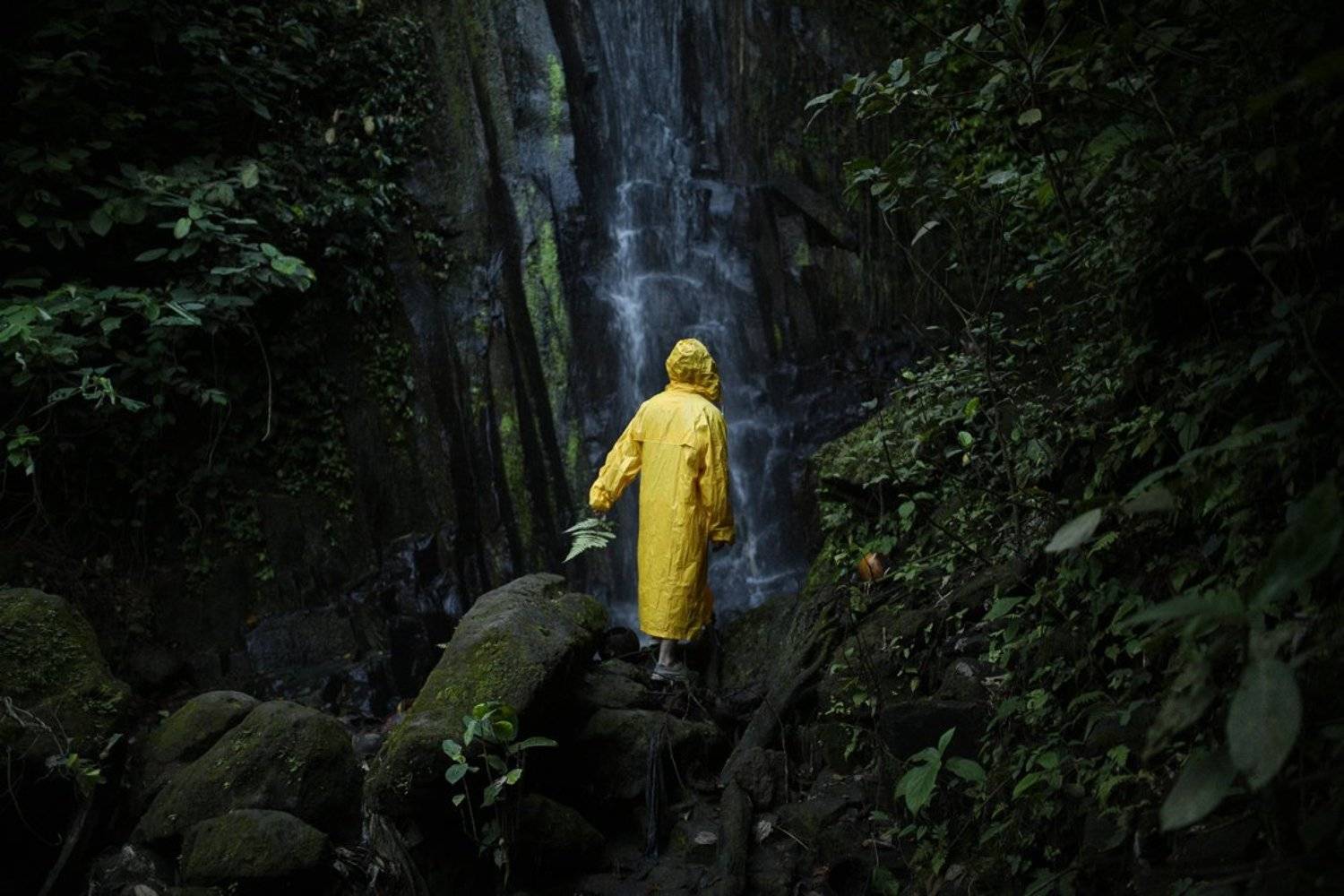, Бондарев Николай